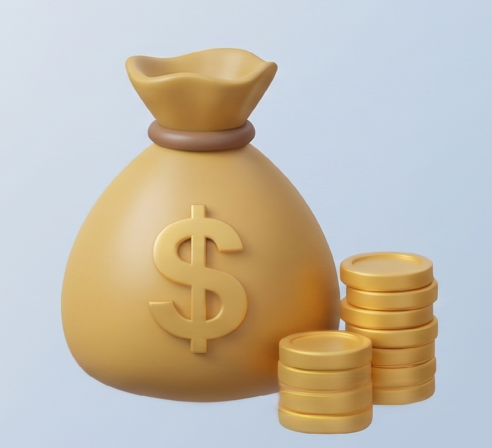 Money bag with gold coins